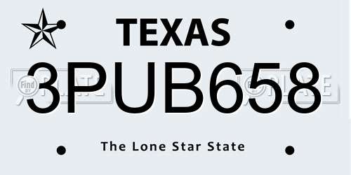 3PUB658 Texas License Plate