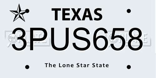 3PUS658 Texas License Plate