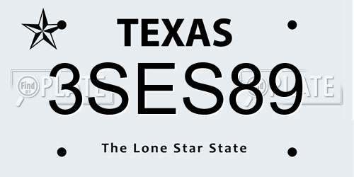 3SES89 Texas License Plate