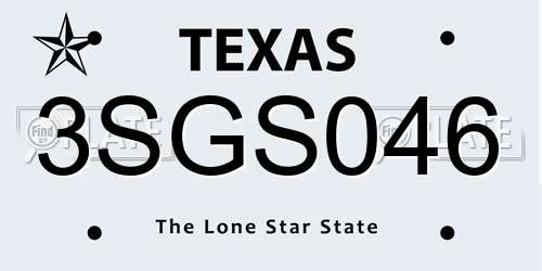 3SGS046 Texas License Plate