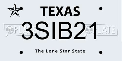 3SIB21 Texas License Plate