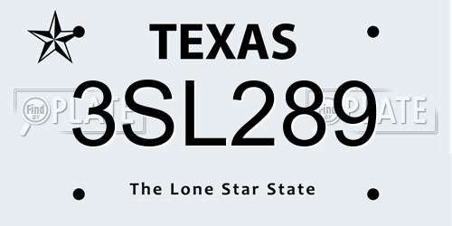3SL289 Texas License Plate