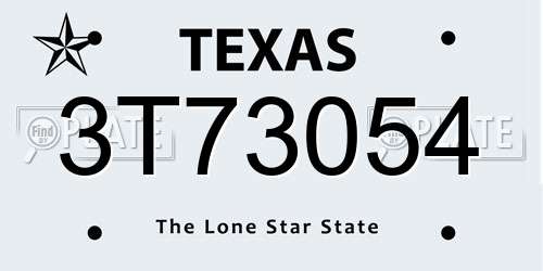 3T73054 Texas License Plate