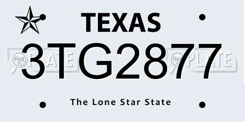 3TG2877 Texas License Plate