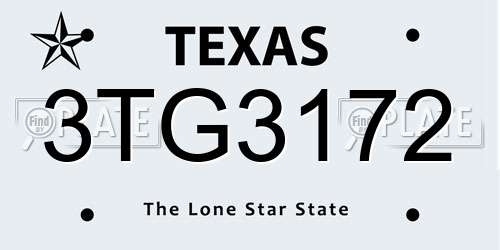 3TG3172 Texas License Plate