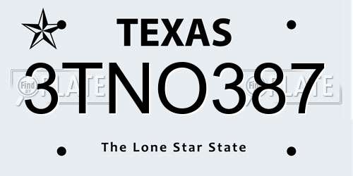 3TNO387 Texas License Plate