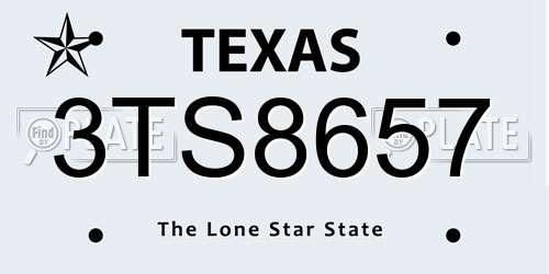 3TS8657 Texas License Plate
