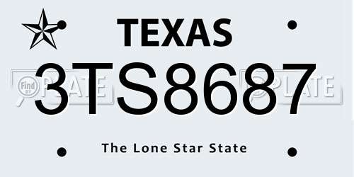 3TS8687 Texas License Plate