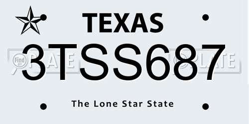 3TSS687 Texas License Plate