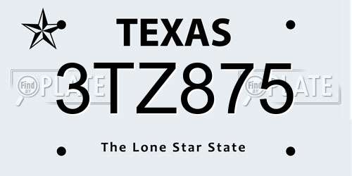 3TZ875 Texas License Plate