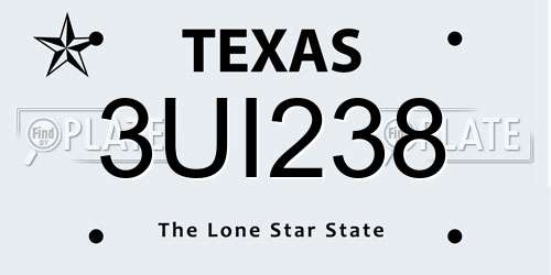 3UI238 Texas License Plate