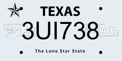 3UI738 Texas License Plate