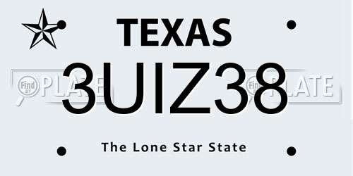 3UIZ38 Texas License Plate