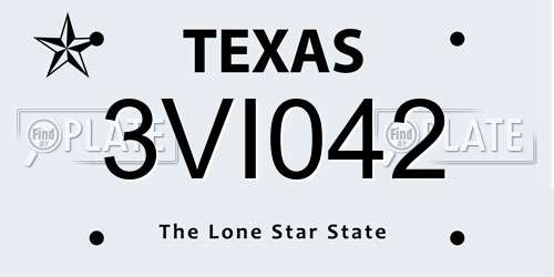 3VI042 Texas License Plate