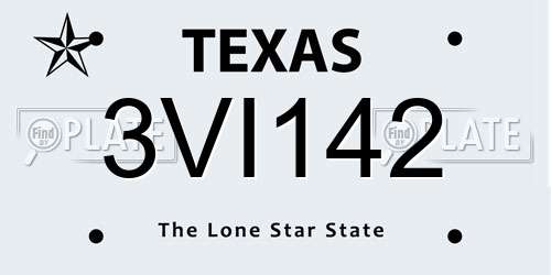 3VI142 Texas License Plate