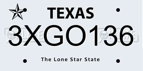 3XGO136 Texas License Plate