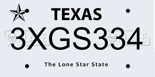 3XGS334 Texas License Plate