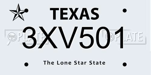 3XV501 Texas License Plate