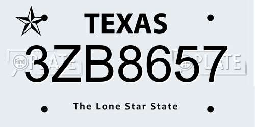 3ZB8657 Texas License Plate