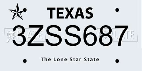 3ZSS687 Texas License Plate
