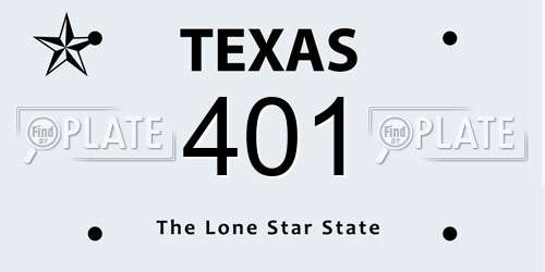 401 Texas License Plate