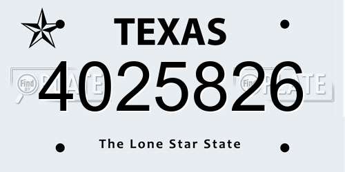 4025826 Texas License Plate