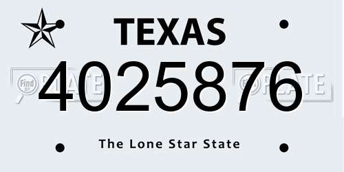 4025876 Texas License Plate
