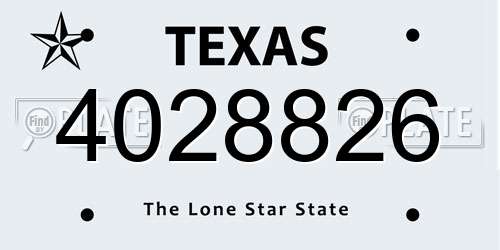4028826 Texas License Plate