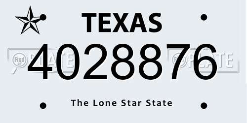 4028876 Texas License Plate