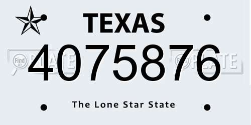 4075876 Texas License Plate