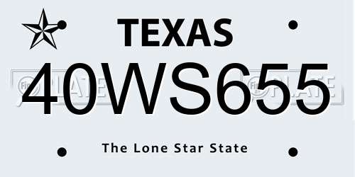 40WS655 Texas License Plate