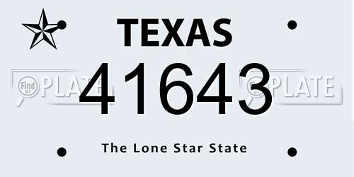41643 Texas License Plate
