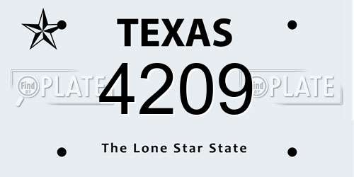 4209 Texas License Plate
