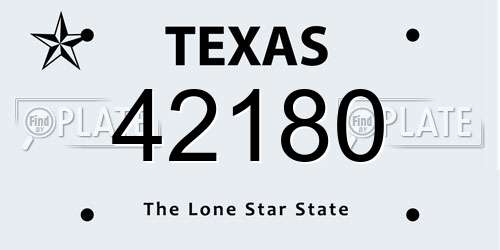 42180 Texas License Plate