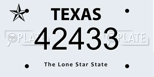 42433 Texas License Plate
