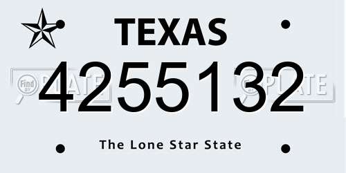 4255132 Texas License Plate