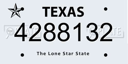 4288132 Texas License Plate