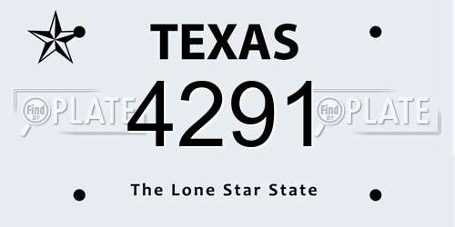 4291 Texas License Plate