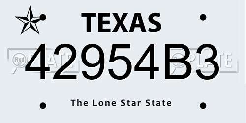 42954B3 Texas License Plate
