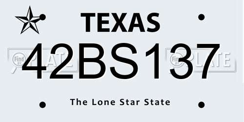 42BS137 Texas License Plate