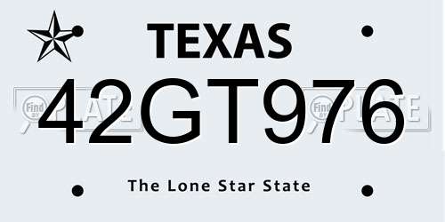42GT976 Texas License Plate