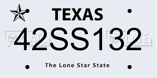 42SS132 Texas License Plate