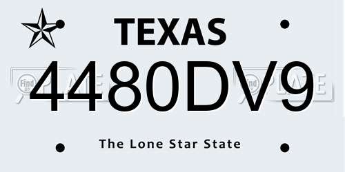 4480DV9 Texas License Plate