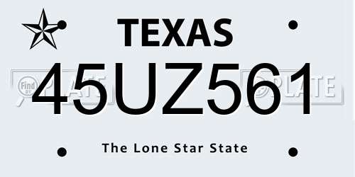 45UZ561 Texas License Plate