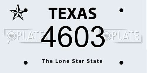 4603 Texas License Plate