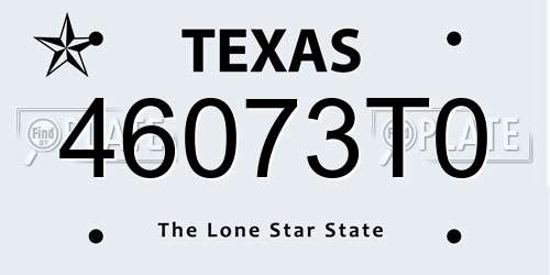 46073T0 Texas License Plate