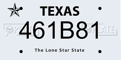 461B81 Texas License Plate