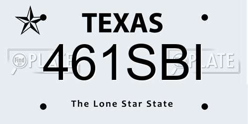 461SBI Texas License Plate