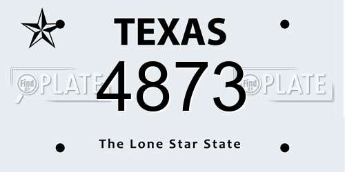 4873 Texas License Plate