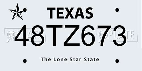 48TZ673 Texas License Plate